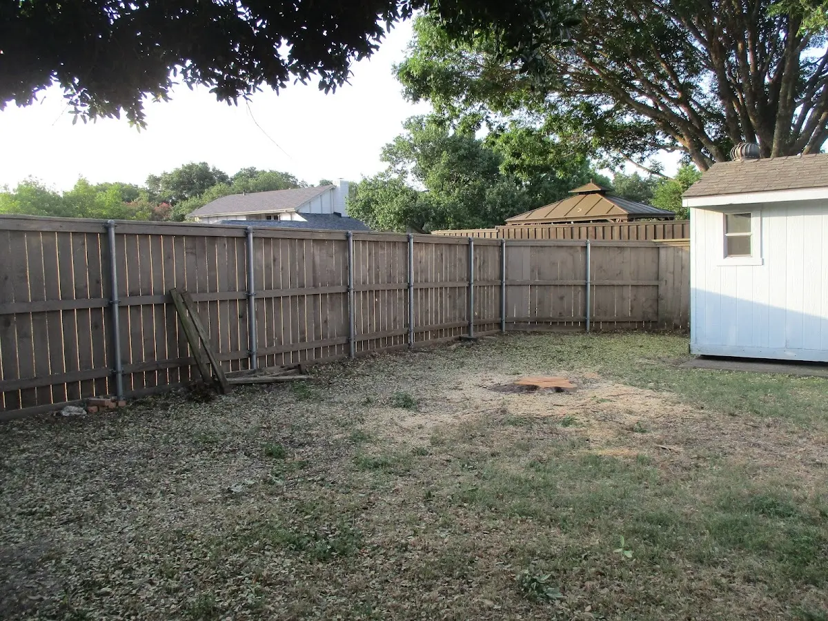 Cleared yard after professional tree removal in Duck River